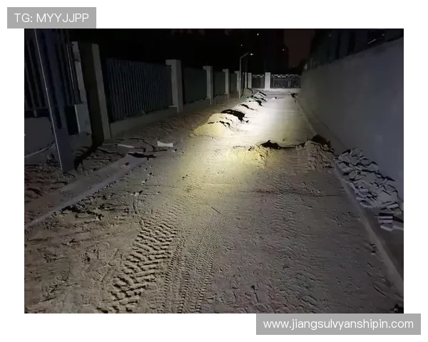 亚星游戏登录官网详细流程与账号安全保障措施